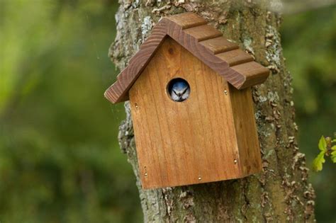 types of bird nesting boxes